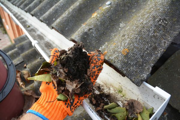 Seamless Gutter Cleaning in Newport Beach