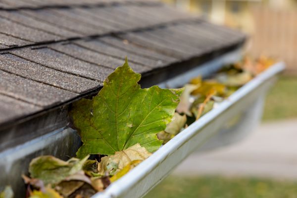 Gutter System Cleaning in Newport Beach