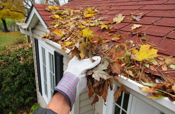 Emergency Gutter Cleaning in Newport Beach