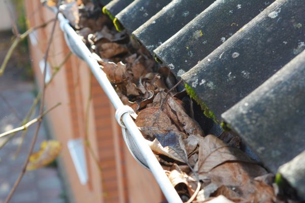 Home Gutter Cleaning in Newport Beach
