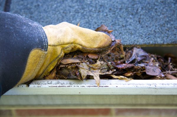 Jammed Gutter Cleaning in Newport Beach