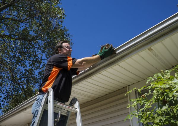 Eavestrough Clearing in Newport Beach