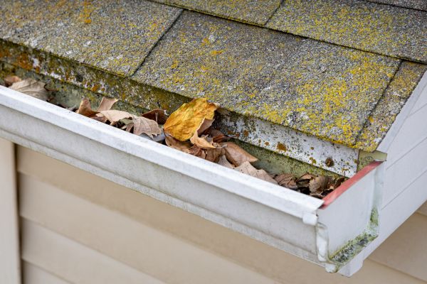 Garage Gutter Cleaning in Newport Beach