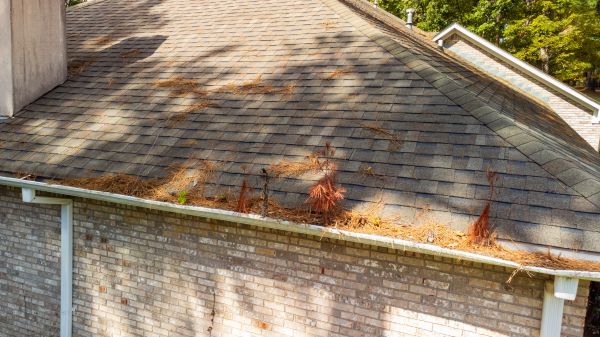 Gutter Pine Needle Removal in Newport Beach