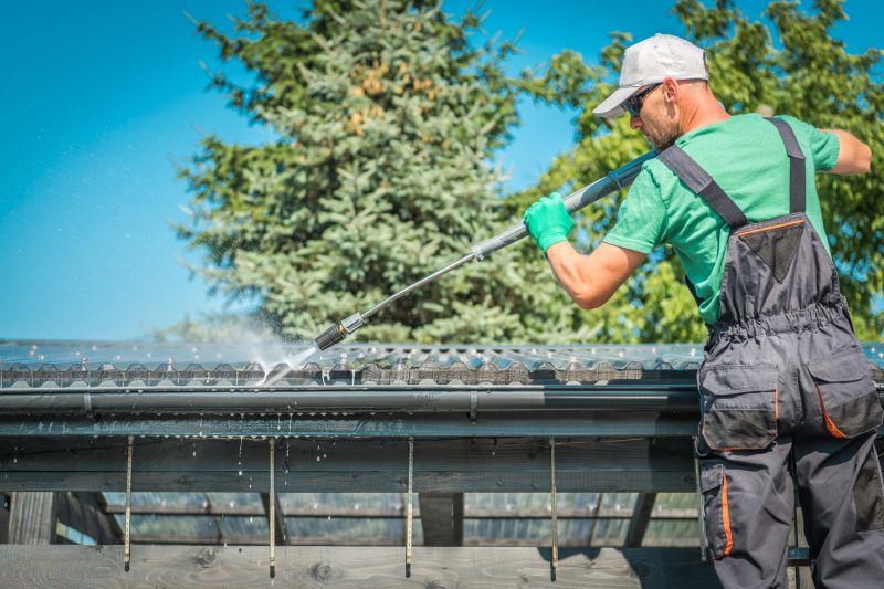Rain Gutter Cleaning Service